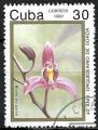 Cuba - 1992 - Y & T n° 3221 - O. (2