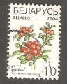 Belarus - SG 567   fruit