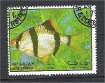 UAE - Sharjah - X3  fish / poisson