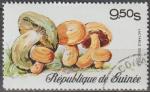 GUINEE 1977 579 oblitr Champignons