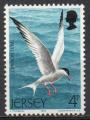 JERSEY N 117 *(nsg) Y&T 1997 Oiseaux (Sterne Pierregarin)