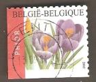 Belgium - SG 3733d   flower / fleur