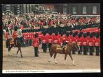 CPM anime Royaume Uni LONDRES Queen Elizabeth II at the Trooping the Colour