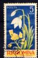 Timbre ROUMANIE  1956  Obl  N 1469  Y&T  Fleurs