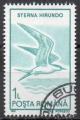  ROUMANIE N 3922 o Y&T 1991 Oiseaux (Sterna hirundo)