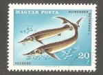 Hungary - Scott 1842    fish / poisson
