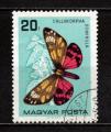 Hongrie n 1790, Papillon Callimorpha Dominula obl, TB