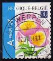 Belgique 2009 -Fleur Buzin: tulip(e) rose, coin haut carnet, Europe - YT 3853 