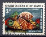 Timbre NOUVELLE CALEDONIE  PA  1974  Obl  N 152   Y&T  Coquillage