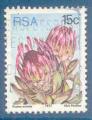 Afrique du Sud N426 Protea eximia oblitr 