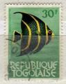 TOGO N° 402 o Y&T 1964 faune poisson (Pomacanthus)