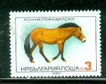 Bulgarie 1980 Y&T 2591 neuf cheval