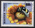 HONGRIE N 2704 o Y&T 1980 Pollinisation des fleurs (insectes/fleurs)
