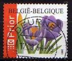Belgique/Belgium 2003 - Fleur/Flower : crocus vernus - YT 3215A 
