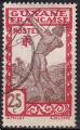 guyane franaise - n 116  obliter - 1929/38