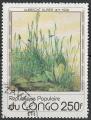 Timbre oblitr n 522(Yvert) Congo 1978 - Tableau d'Albrecht Drer
