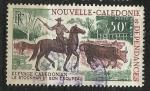 Nouvelle Caldonie 1969; Y&T n PA 104; 50F Elevage bovin