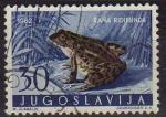 Yougoslavie 1962 - Grenouille rieuse/marsh frog - YT 908 