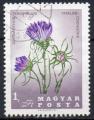 HONGRIE N 1882 o Y&T 1967 Fleurs (Edraianthus tenuifolius)