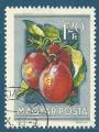 Hongrie N1135 Foire nationale d'agriculture - prune oblitr