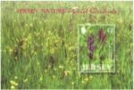 Jersey 2003 - Orchidée sauvage: orchis à fleurs lâches, bloc-YT BF47/SG MS1098**