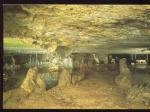 CPM neuve 37 SAVONNIERES Grottes ptrifiantes Animaux ptrifis stalagmites