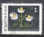 EUBG - 1969 - Yvert n 1647 - Camomille sauvage