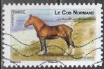 FRANCE N 814 de 2013 "chevaux de trait" Le Cob Normand
