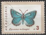 BULGARIE - 1962 - Yt n 1157 - Ob - Papillon : lycaena meleager