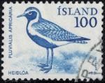 Islande 1981 Oblitr Used Oiseau Pluvialis apricaria Pluvier dor Y&T IS 521 SU