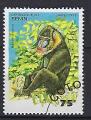Animaux Singes Bnin 1995 (2) Yv 708 P (3) oblitr used