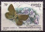 Espagne : Y.T. 3695 - Faune en voie d'extinction : papillon - oblitr - 2000