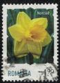 Roumanie 2020 Oblitr Used Fleur Daffodil Jonquille SU