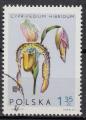 EUPL - 1965 - Yvert n 1468 - Orchide Lady's Slipper (Cypripedium hibridum)