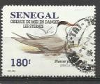 SENEGAL 1995; Y&T n° 1156, 180F Sterne Pierregarin