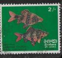 Sri Lanka - Y&T n° 449 - Oblitéré / Used - 1972