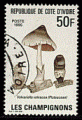 Cte Ivoire 1995 - Y&T 951 - oblitr - champignon