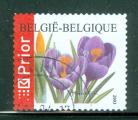 Belgique 2003 Y&T 3215a oblitr avec TAB Fleurs Crocus vernus