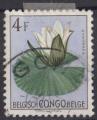 CONGO BELGE obl 315