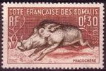 Cote Franaise des Somalis 1958 - Phacochre - YT 287 *