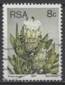 AFRIQUE DU SUD N 423 o Y&T 1977 Fleurs (Protea mundii)