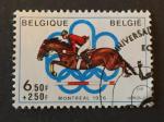 Belgique 1976 - Y&T 1797 obl.
