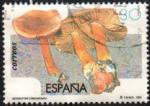 Espagne/Spain 1995 - Champignon : cortinaire cannelle - YT 2933 