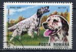Timbre ROUMANIE 1990  Obl  N 3870  Y&T Chiens