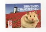 Carte postale : souvenirs d'hamsterdam ( hamster , moulin )