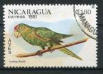 Timbre du NICARAGUA 1981  Obl  N 1163  Y&T  Oiseaux  Perroquet