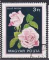 HONGRIE- 1982 - Roses  - Yvert 2810 Oblitéré