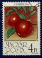 Pologne 1986 - oblitr - pommes
