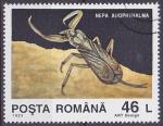 Timbre oblitr n 4125(Yvert) Roumanie 1993 - Insecte, punaise d'eau