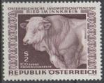 Autriche 1967 - Foire de Ried - Buf